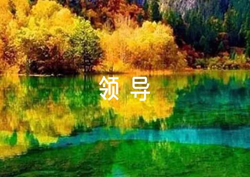 弹力带篮球训练动作要领_1